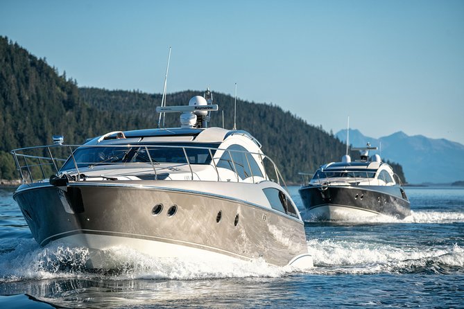 Private Luxury Whale Watch - Is $3,599 a fair price?