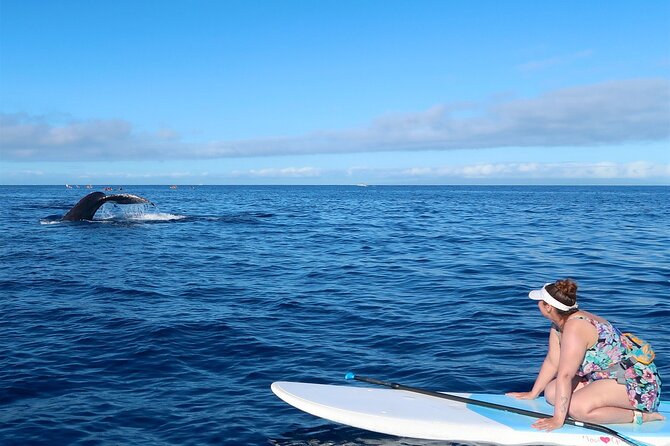 Private Paddleboard (SUP) Whale Watch: All Skill Levels Welcome - What the private format is worth at $189