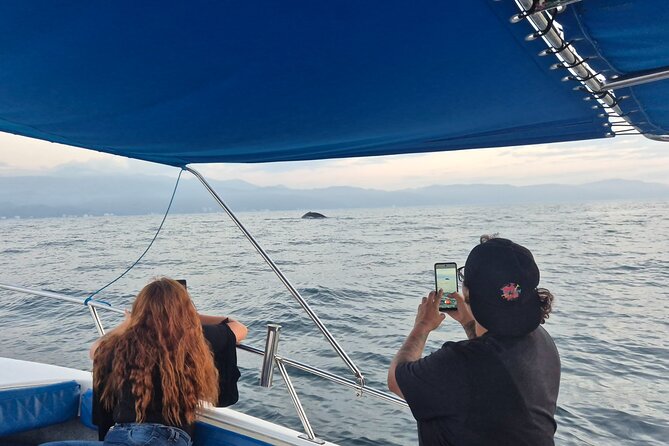 Private Tour 3 Hours of Whale Watching - What the boat setup means for your comfort