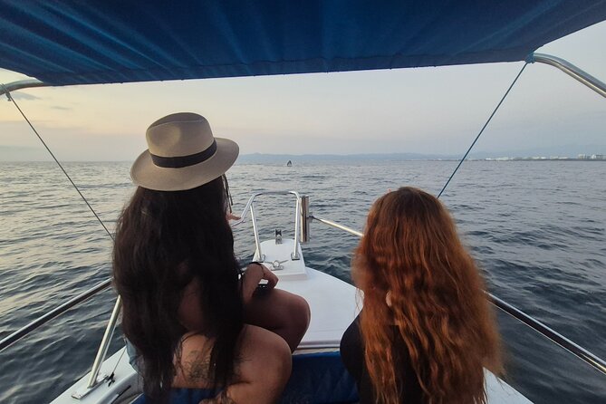 Private Tour 3 Hours of Whale Watching - Searching for dolphins inside the bay