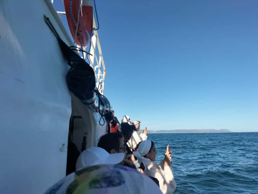 Private Tour: Hermanus- Boat Based Whale Watching Experience - Why this day works so well