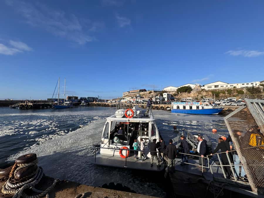 Private Tour: Hermanus- Boat Based Whale Watching Experience - Should you book the Hermanus whale trip?