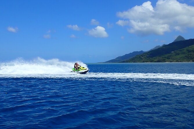 Private tour observing and swimming with humpback whales in Moorea - Equipment, fitness, and the real demands of the water