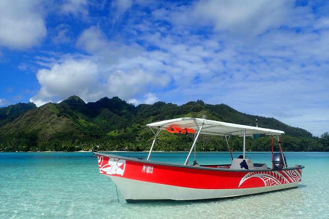 Private tour observing and swimming with humpback whales in Moorea - Timing, pickup, and where the trip ends