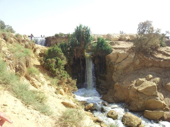 Private Tour To Fayoum Oasis, Valley Of The whales & Wadi Al Rian From Cairo. - From Cairo Streets to Fayoum’s Green Oasis