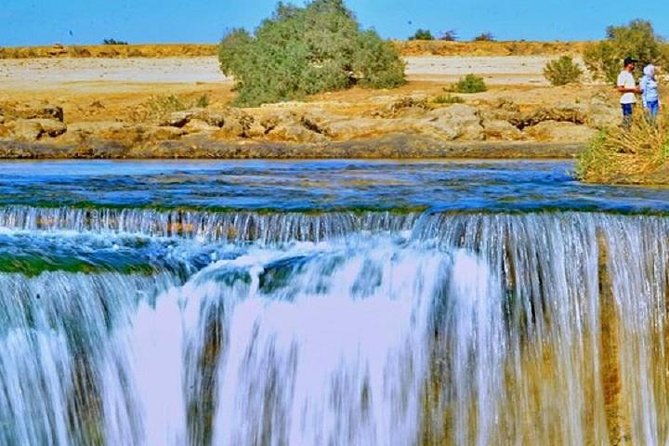 Private Tour To Fayoum Oasis, Valley Of The whales & Wadi Al Rian From Cairo. - Qarun Lake and the Four-Wheel-Drive Switch