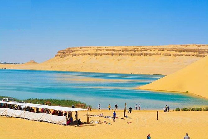 Private Tour To Fayoum Oasis, Valley Of The whales & Wadi Al Rian From Cairo. - Valley of the Whales, Where the Desert Tells a Sea Story