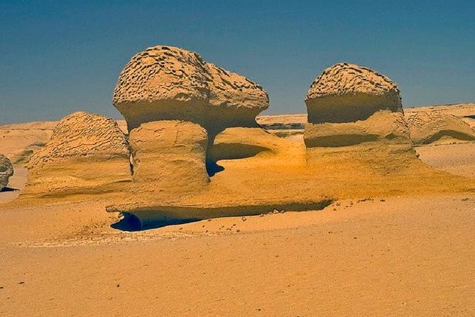 Private Tour To Fayoum Oasis, Valley Of The whales & Wadi Al Rian From Cairo. - What the Private Format Really Adds