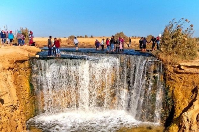 Private Tour To Fayoum Oasis, Valley Of The whales & Wadi Al Rian From Cairo. - Is $220 Per Person Good Value?