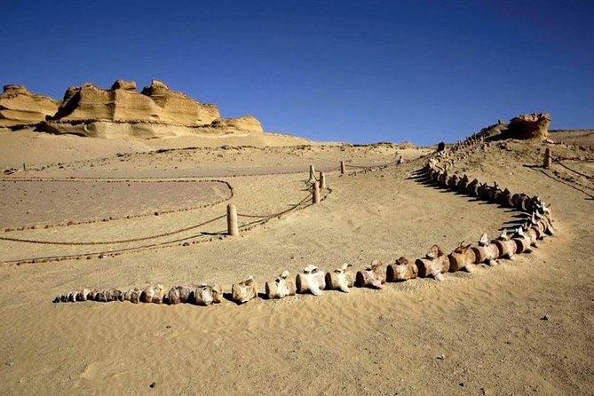 Private Tour To Fayoum Oasis, Valley Of The whales & Wadi Al Rian From Cairo. - Who Will Enjoy This Day Most?