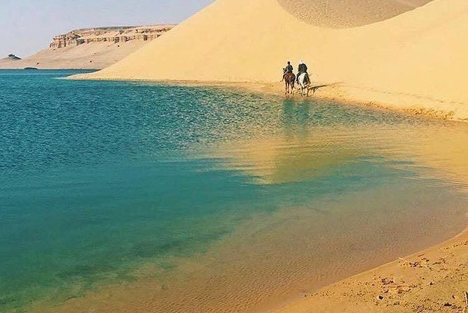 Private Tour To Fayoum Oasis, Valley Of The whales & Wadi Al Rian From Cairo. - Should You Book the Fayoum and Valley of the Whales Tour?