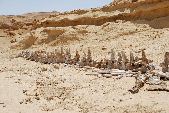Private Tour to Whales Valley & Wadi El Rayan Waterfalls in El Fayoum from Cairo - Qarun Lake and the Medinet Quta stop