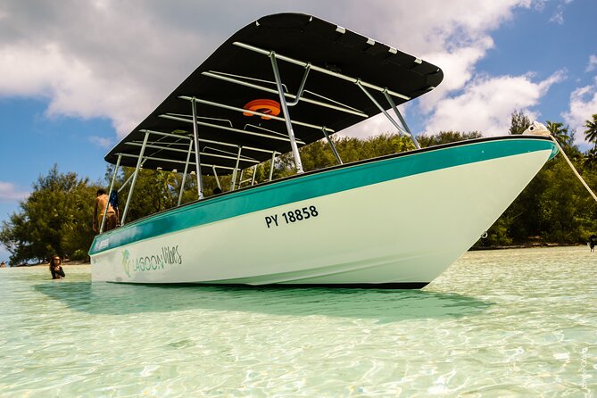 Private tour whale watching and snorkeling in Moorea - Animal welfare is part of the experience