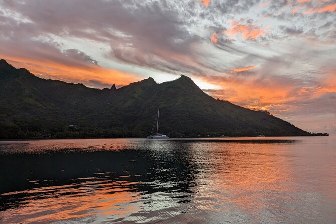 Private Tour Whale Watching Half Day Tour - Snacks, drinks, and the missing hotel transfer