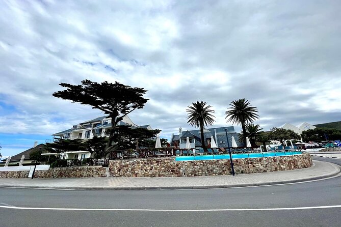 Private Tour: Whale Watching Shared Boat Trip from Cape Town - Stony Point and its quieter penguin colony