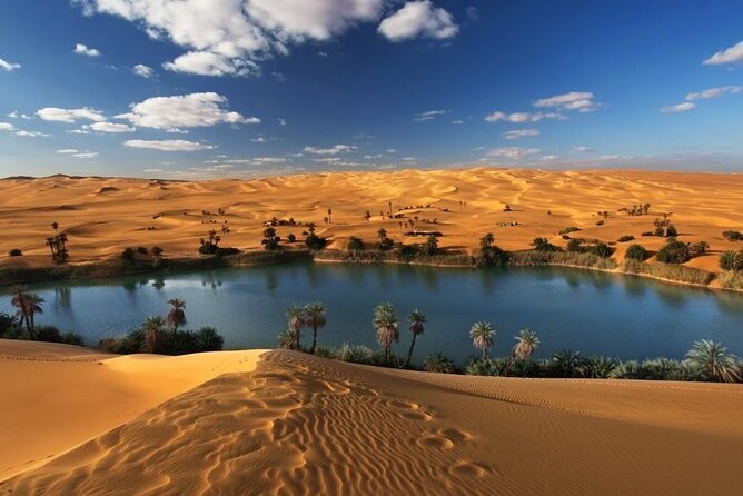 Private Tour Whales Valley And Wadi El Rayan Waterfalls In El Fayoum From Cairo - The Valley of the Whales and its fossil story