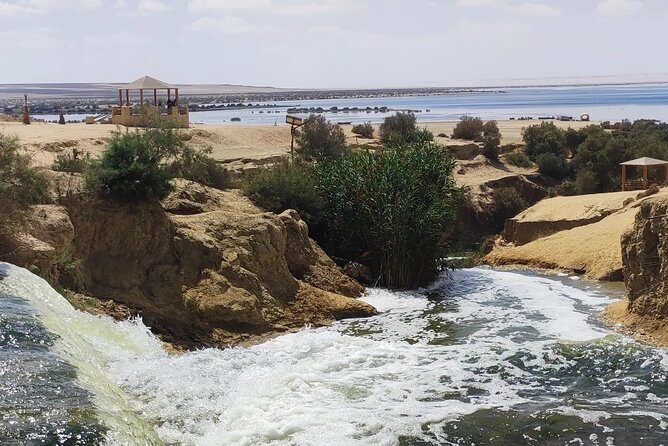 Private Trip to Fayum and Valley of the Whales with Sand Skate - Key points before you book