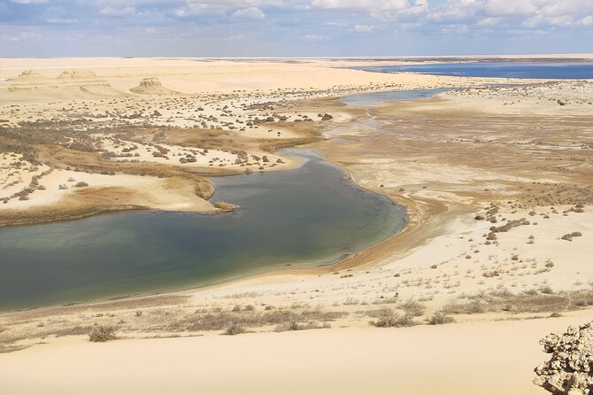 Private Trip to Fayum and Valley of the Whales with Sand Skate - What makes the whale fossils important