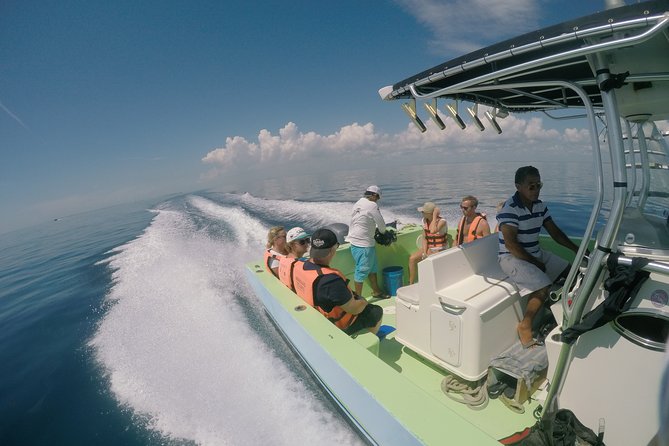 Private Whale Shark All Inclusive Experience - Children, older adults, and physical demands