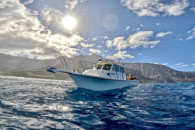 Private Whale Watch and Snorkel off Kaua'i - Spinner dolphins and the open-water surprises