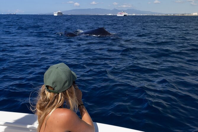 Private Whale Watching Activity: 6 passengers max - Is $500 a good value?