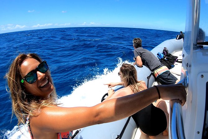 Private Whale Watching Adventure - Leaving Ala Wai Harbor in Waikiki