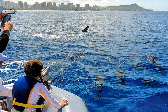 Private Whale Watching Adventure - The Zodiac-style boat and tube seating