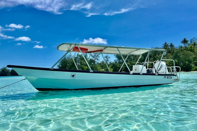 Private Whale Watching Adventure in Mo'orea - Weather, cancellation, and booking timing