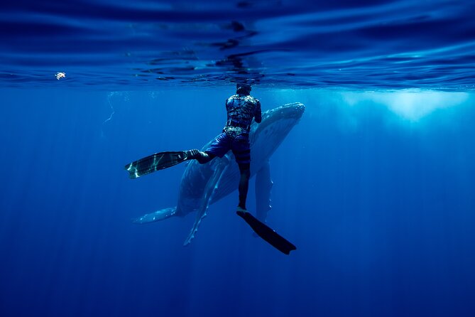 Private Whale Watching Adventure in Mo'orea - What Teoni and Julien add to the day