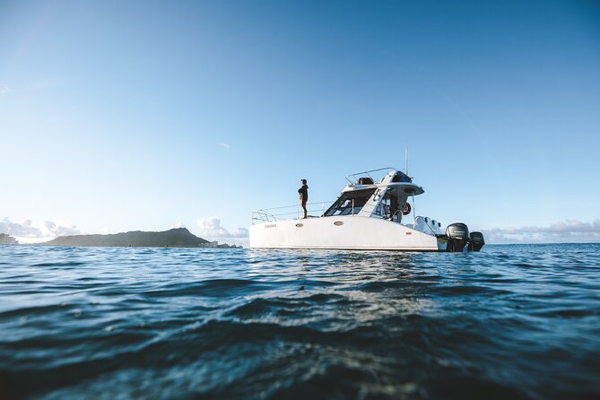 Private Whale Watching and Coastal Swimming Tour Honolulu - Searching for humpback whales in Hawaiian waters