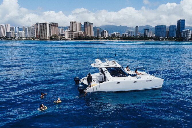 Private Whale Watching and Coastal Swimming Tour Honolulu - Stopping to swim with turtles and fish