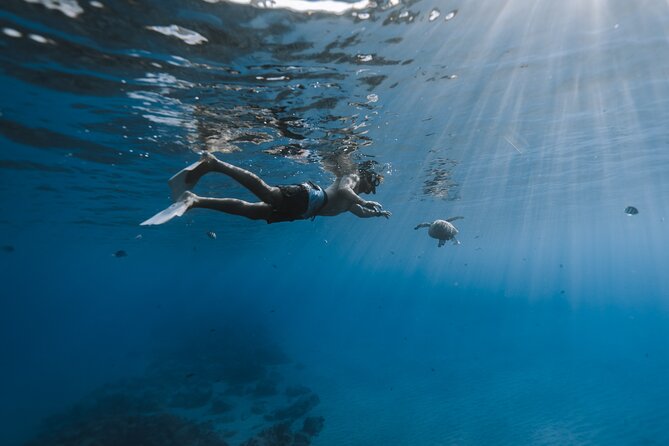 Private Whale Watching and Coastal Swimming Tour Honolulu - A private boat that lets you set the mood