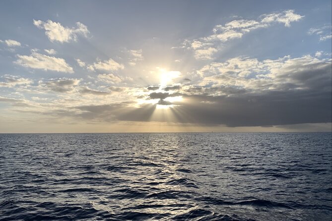 Private Whale Watching and Dolphin Excursion - A private boat instead of a crowded whale cruise