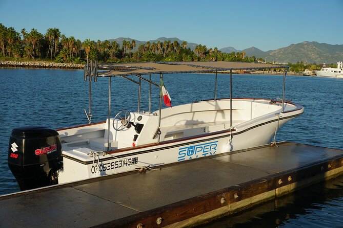 Private Whale Watching in San José del Cabo - Why this private trip feels different from a standard whale tour