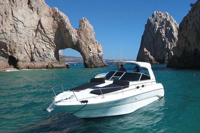 Private Whale Watching on Luxury Yacht in Cabo San Lucas - Starting at 8:00 am in the Cabo marina