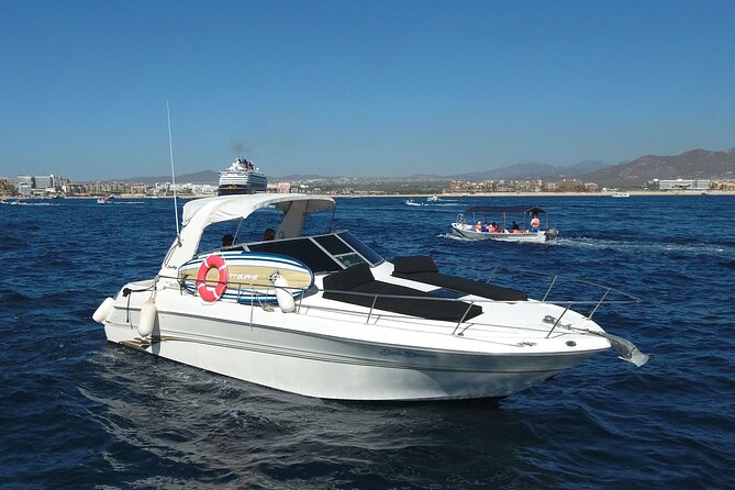 Private Whale Watching on Luxury Yacht in Cabo San Lucas - What the yacht setup means for your group
