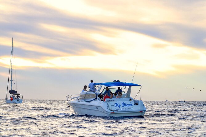 Private Whale Watching on Luxury Yacht in Cabo San Lucas - Crew quality and the human side of the trip
