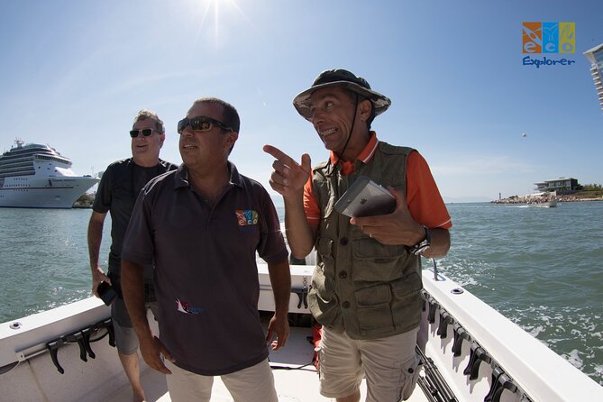 Private Whale watching Puerto Vallarta - What makes the private format worth the price