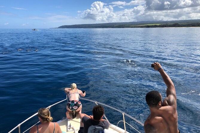Private Whale Watching Safari from North Shore Oahu - Who will get the most from this experience