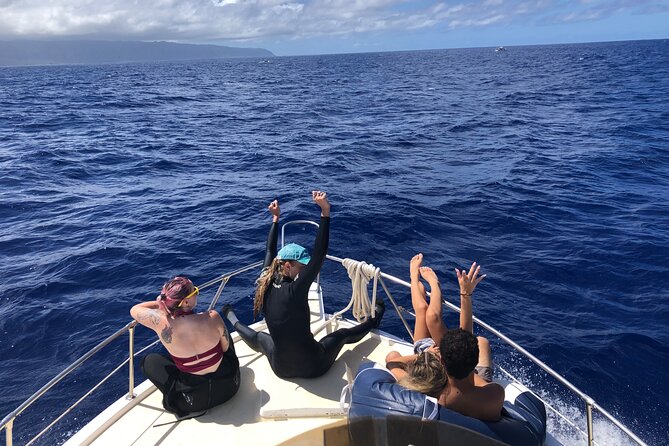 Private Whale Watching Safari from North Shore Oahu - Booking timing, weather, and cancellation