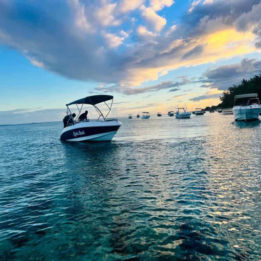 Private :Whales and dolphins watching/Swimming with dolphins - Equipment, photos, and extra costs