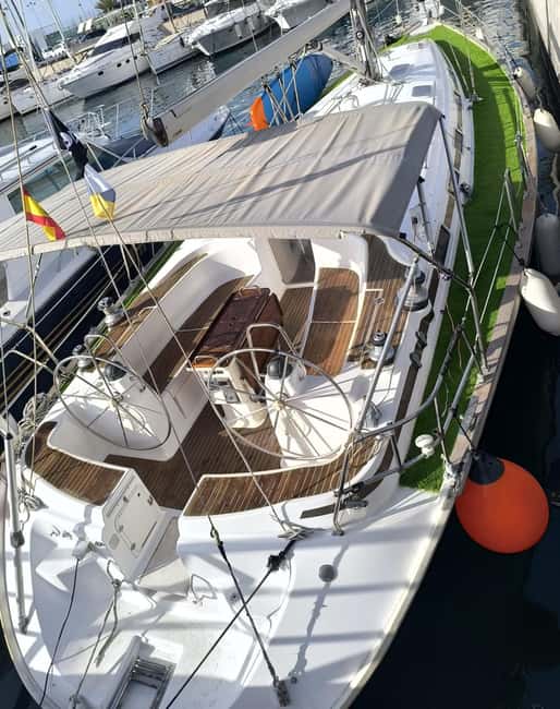 Private Whales & Dolphins Excursion: for you exclusively! - Key points at a glance