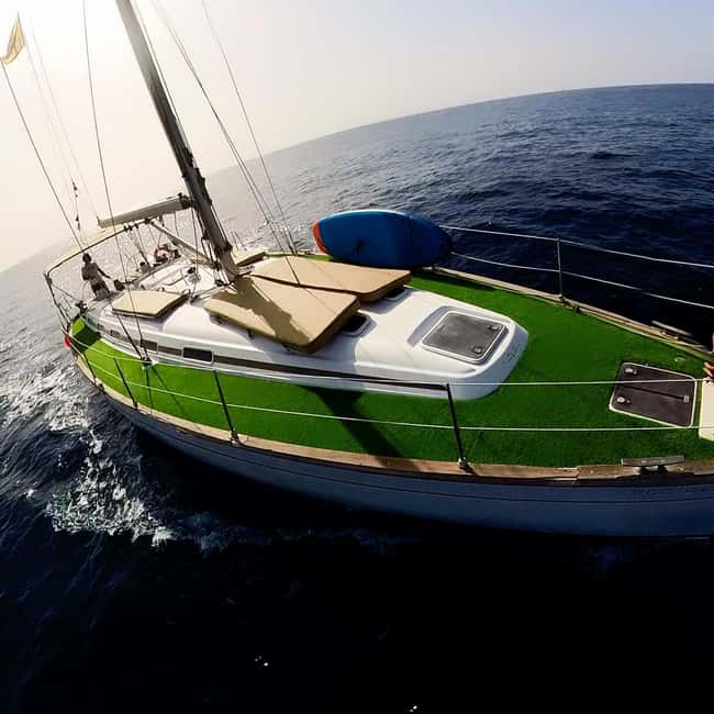 Private Whales & Dolphins Excursion: for you exclusively! - Swimming and snorkeling in clear water