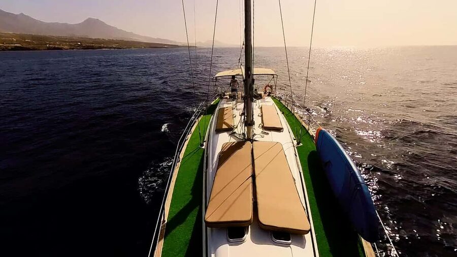 Private Whales & Dolphins Excursion: for you exclusively! - Paddleboarding with time to relax