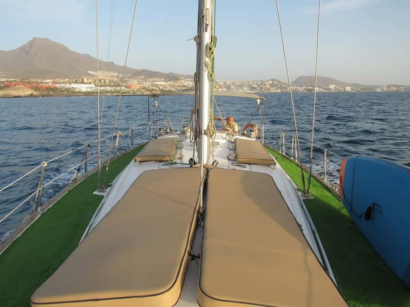 Private Whales & Dolphins Excursion: for you exclusively! - Tapas, drinks, and a relaxed yacht atmosphere
