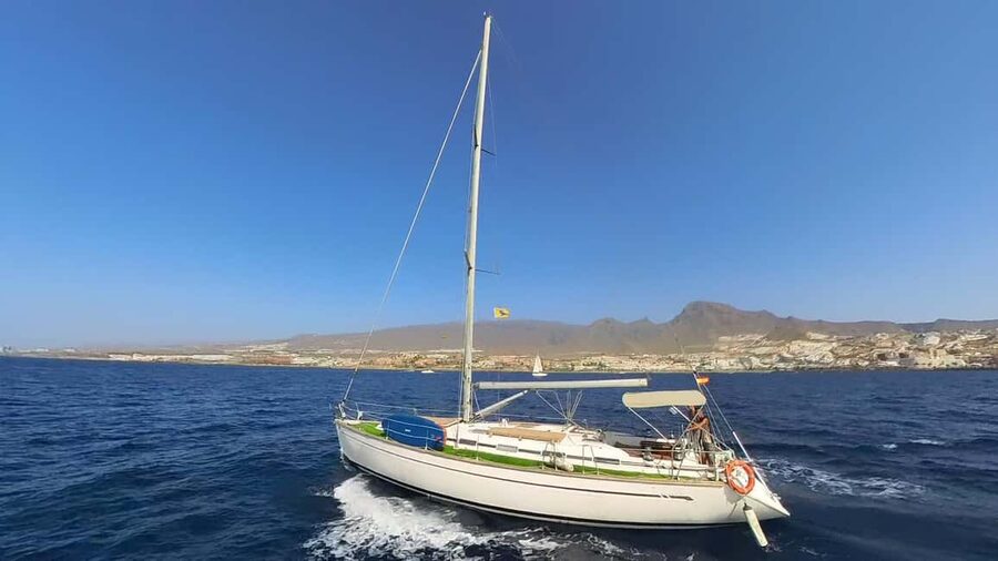 Private Whales & Dolphins Excursion: for you exclusively! - The mechanical issue to keep in mind