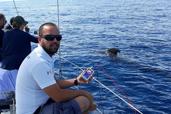 Private Yacht Tour With Whale and Dolphin Watching 42 Foot Boat - Swimming and snorkeling from the anchored yacht