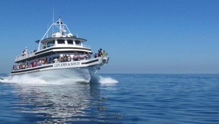 Provincetown: Whale Watching Cruise - Is this a good family outing?