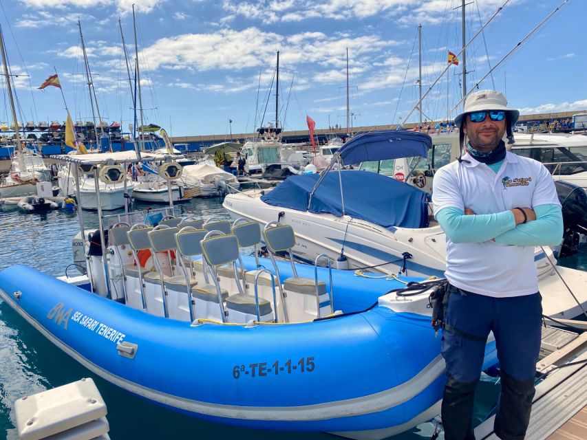 Puerto Colon: Dolphin and Whale Watching Speedboat Cruise - How the ride suits different types of visitors