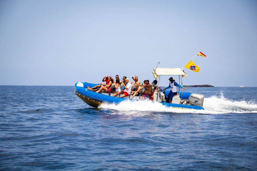 Puerto Colon: Dolphin and Whale Watching Speedboat Cruise - FAQ
